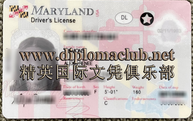 美国MD驾照