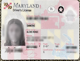 美国驾照哪里可以办理，购买美国马里兰州MD驾照，办驾照买酒喝