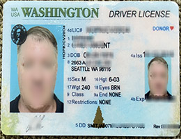 买美国华盛顿州驾照，办理美国驾照，可扫描二维码查询信息