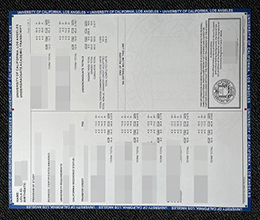 加利福尼亚大学洛杉矶分校成绩单多少钱? Buy UCLA transcript