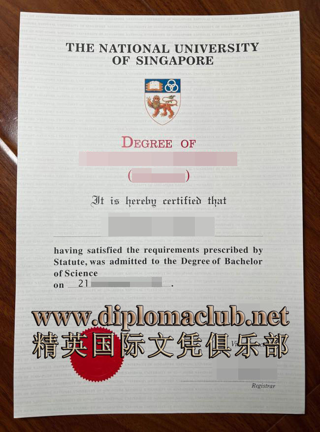 新加坡国立大学毕业证