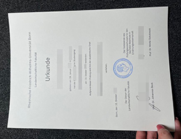办理德国波恩大学毕业证学位证，Universität Bonn diploma for sale