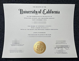 定制1:1复制品加州大学河滨分校毕业证，UCR文凭，buy UCR diploma