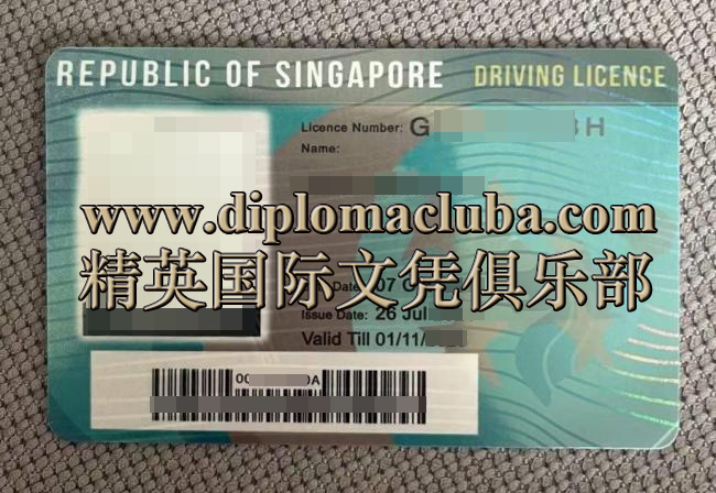 新加坡驾照