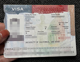 办理美国签证，定制美国工作签证旅游签证页，buy USA VISA online