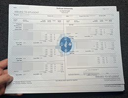 如何购买萨利文大学成绩单? fake Sullivan University transcript