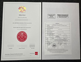 购买特许公认会计师公会证书海牙认证，buy ACCA certificate with apostille