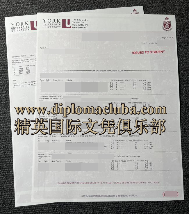 约克大学成绩单