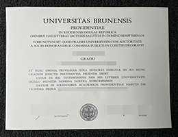 办理布朗大学文凭 | 定制Brown University毕业证 | 如何购买布朗大学学位证书?