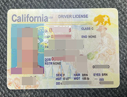 购买美国加州驾照 | 造假加利福尼亚州驾照 | order california driver license