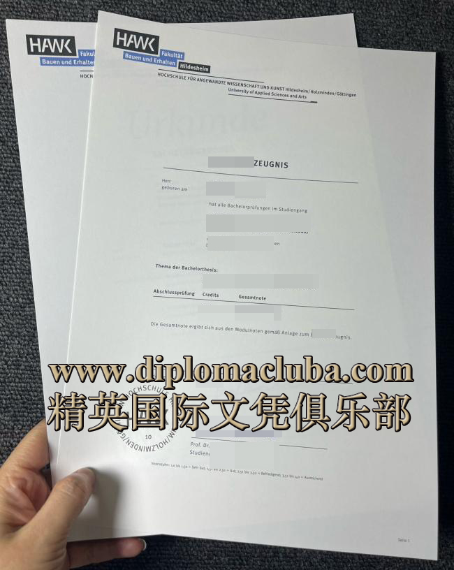 希尔德斯海姆-霍尔斯明登-哥廷根应用科学大学成绩单