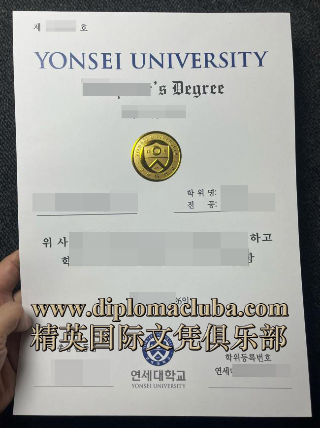 延世大学文凭